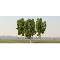 FALLER 181427 Platan / 3szt. ok. 8cm